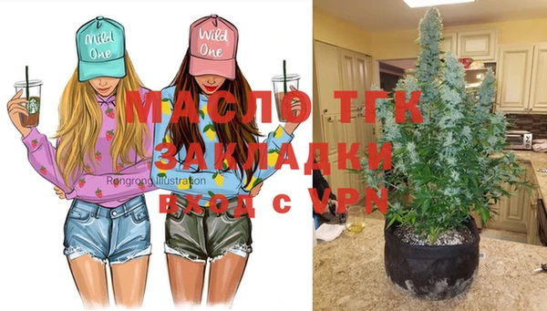хмурый Михайлов